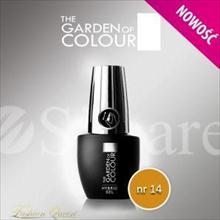 Hybrid gél Epic Sunflower